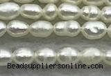 FWP154 14.5 inches 2mm - 3mm rice white freshwater pearl strands