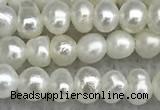 FWP16 14.5 inches 3.2mm - 3.7mm potato white freshwater pearl strands