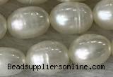 FWP185 15 inches 6mm - 7mm rice white freshwater pearl strands