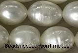 FWP200 15 inches 8mm - 9mm rice white freshwater pearl strands