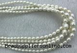 FWP212 15 inches 4mm - 9mm rice white freshwater pearl strands