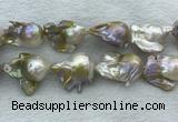 FWP370 15 inches 18mm - 22mm baroque freshwater nucleated pearl beads