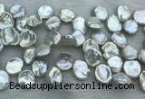 FWP376 Top-drilled 15mm - 18mm keshi freshwater pearl beads