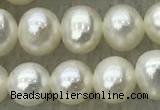 FWP46 14.5 inches 5mm - 6mm potato white freshwater pearl strands