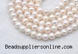 FWP482 14 inches 7mm - 8mm potato white freshwater pearl strands