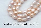 FWP502 14 inches 10mm - 11mm baroque lavender freshwater pearl strands