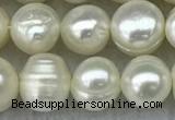 FWP56 15 inches 6mm - 7mm potato white freshwater pearl strands