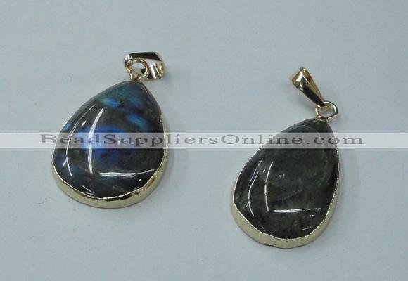 NGP1158 20*30mm - 25*35mm freeform labradorite pendants with brass setting