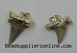 NGP1457 15*20mm - 20*30mm shark teeth pendants wholesale