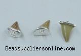 NGP2496 15*18mm - 18*20mm shark teeth pendants wholesale